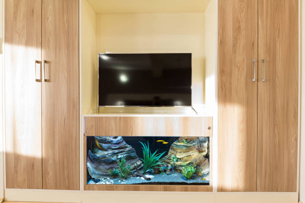 istock Interior of a hotel room with aquarium 1084649132