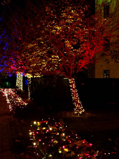 istock Ornamental tree for the new year 1084651128