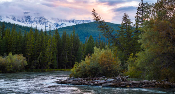 istock Panorama of the rapid river of Chuya 1084651322