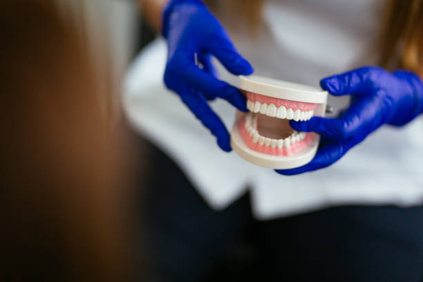 dentysta gospodarstwa protezy - dental hygiene prosthetic equipment dentist office dental equipment zdjęcia i obrazy z banku zdjęć