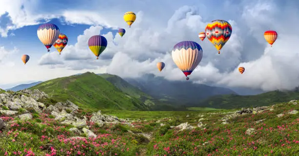 Multicolored hot air balloons on a mountain ridge covered with flowering rhododendrons