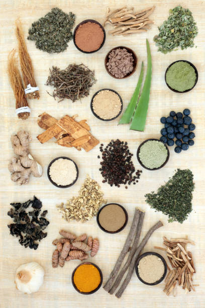 アダプトゲン修復食物選択 - astragalus chinese medicine root plants ストックフォトと画像