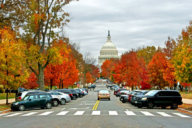 stany zjednoczone capitol i upper senate park. waszyngtonie. jesień - washington street zdjęcia i obrazy z banku zdjęć