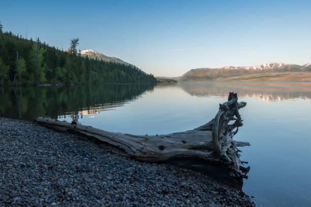 istock Driftwood rocky lakeshore 1084671782