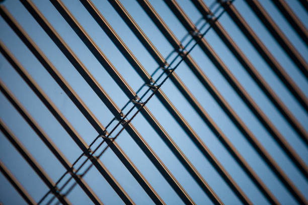 abstract textures with multi purpose lines and rhytm on household items background