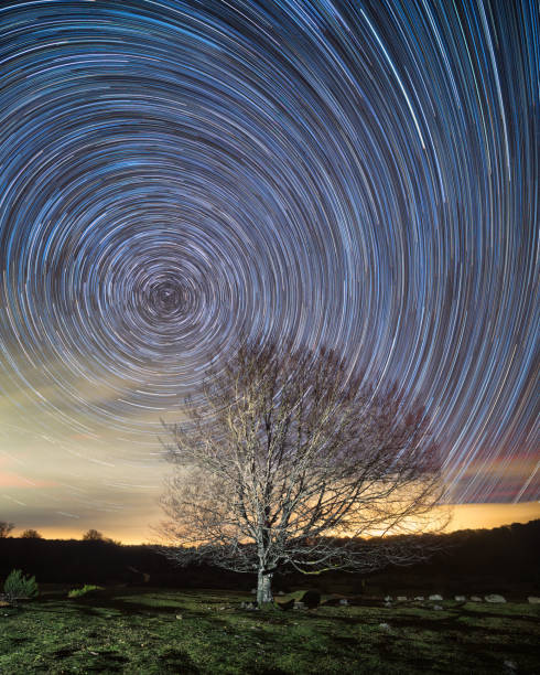 istock Circumpolar, star trails, over a beech in Entzia, Alava 1084681756