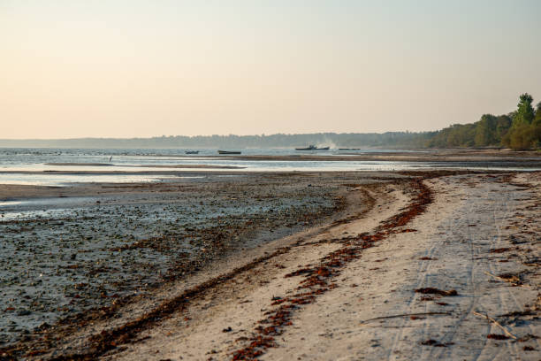 istock sandy sea beach with rocks and low tide in overcast day 1084686868