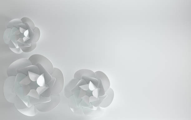 istock 3d render paper peony rose flowers. Digital illustration, white background and white paper flowers. Floral composition background, wedding card, quilling, romantic bridal bouquet 1084687220