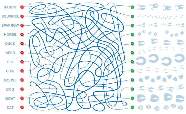 동물의 트랙 미 궁입니다. 토끼, 다람쥐, 참새, 말, 오리, 사슴, 돼지, 소, 쥐, 개, 염소, 고양이의 오른쪽 발자국에 미로 통해 올바른 방법을 찾아보십시오. - snow footprint winter animal track stock illustrations