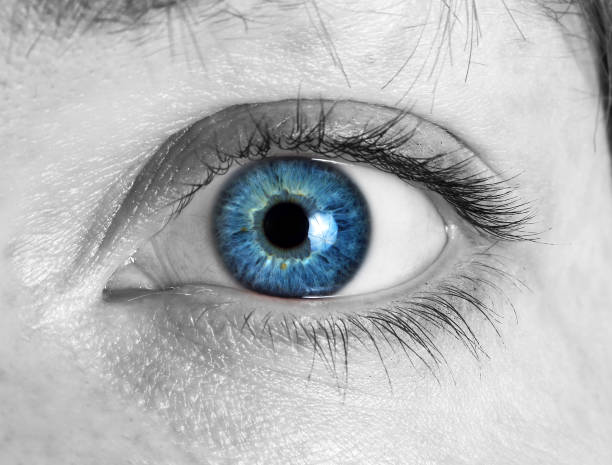 istock Cropped Image Of Woman Eye 1084691670