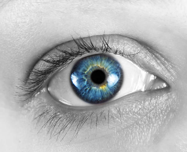 istock Cropped Image Of Woman Eye 1084691674