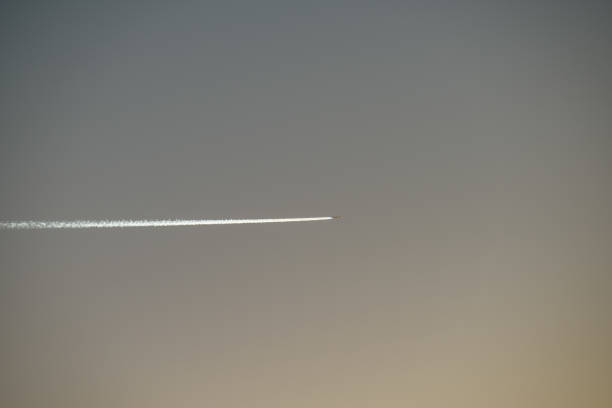 passenger plane leaves white smoke trail on blue sky, view from forest below trees
