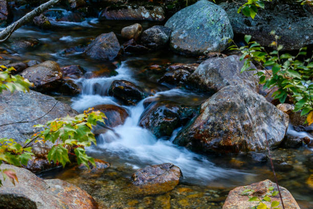 Nature abstract. Stream in the mountains.