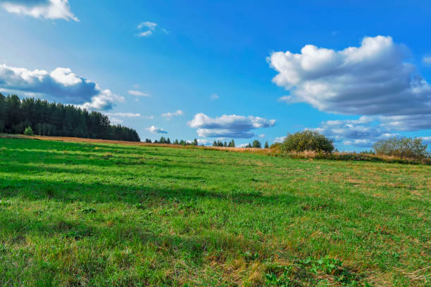 istock Rural landscape with haystacks in a summer sunny day. 1084701612