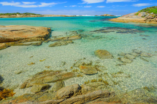 istock Madfish Beach Western Australia 1084702432