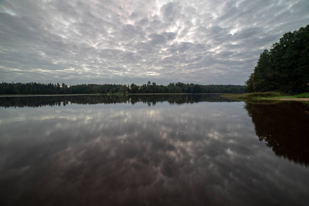 blue sky, clouds and trees from forest reflecting in calm lake water in summer