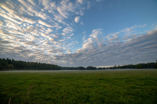high contrast clouds on blue sky over natural landscape in summer at sunset time