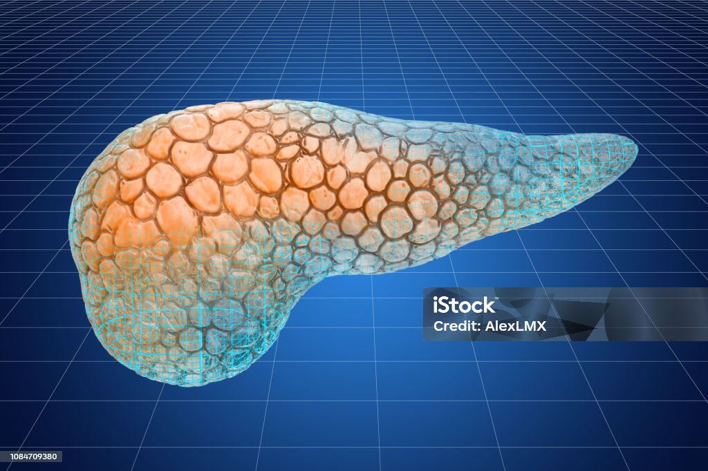 시각화 인간의 췌 3d 렌더링의 3 차원 Cad 모델 췌장에 대한 스톡 사진 및 기타 이미지 - 췌장, 추상적인, 인공적인 ...