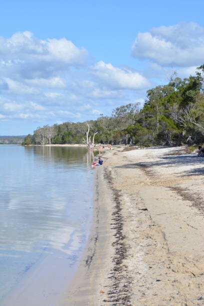 istock Beach Scene, Great Sandy Straits, Queensland, Australia 1084710834