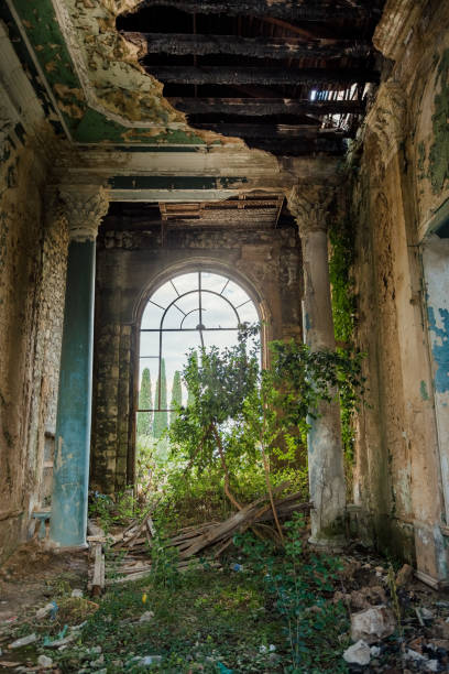 istock Ruined large hall interior overgrown by plants and moss 1084725050