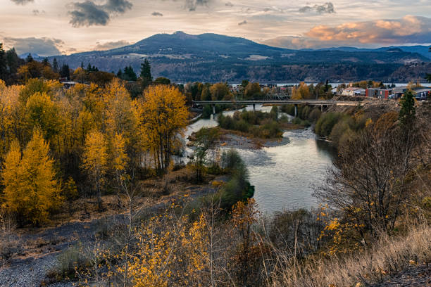 istock Bright yellow foliage trees on river banks 1084730188