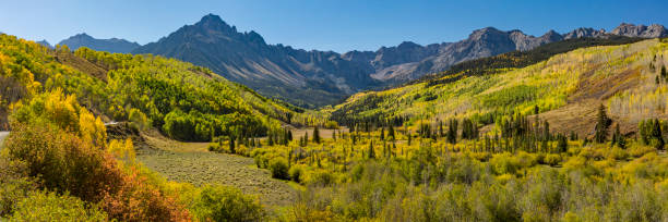 Willow Swamp Mountains Panorama Colorful Autumn trees in Willow Swamp along the East Fork of Dallas Creek in the Uncompaghre National Forest near Ridgeway, Colorado. ridgeway stock pictures, royalty-free photos & images