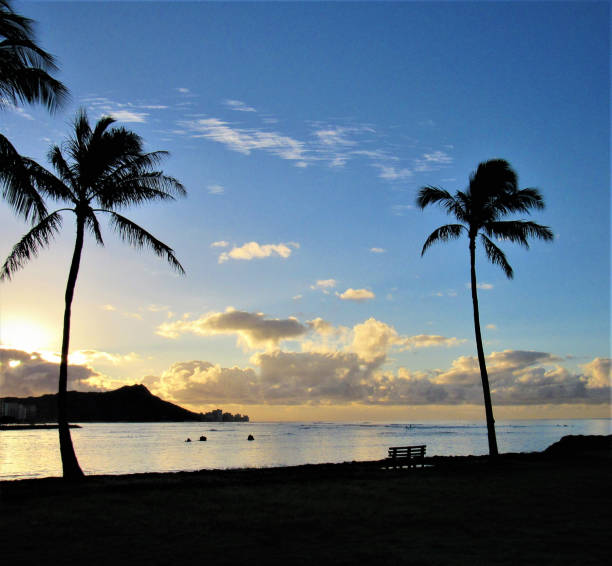 istock Sunrise over Diamond Head, Waikiki, Oahu, Hawaii 1084735522