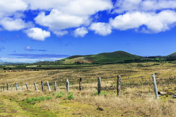 istock Morning Raraku Mountain 1084735718