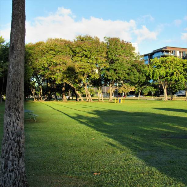 istock Ala Moana Beach Park, Waikiki, Oahu, Hawaii 1084743054