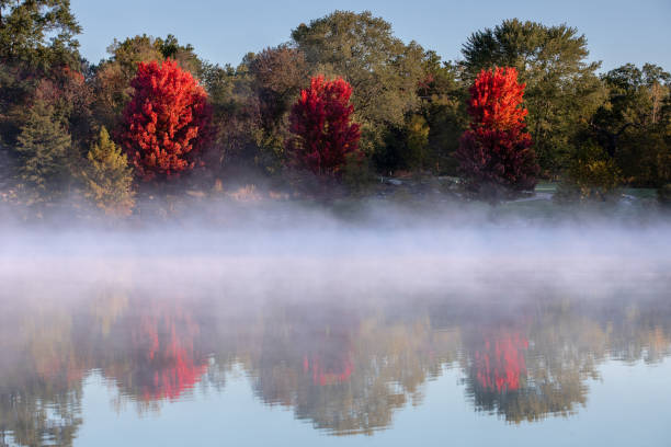 Red Autumn trees with Foggy Lake