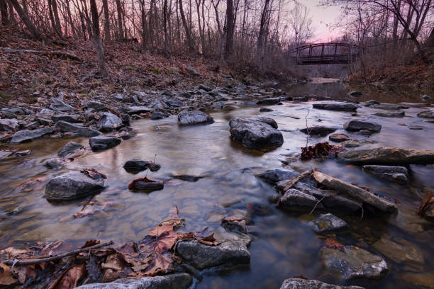 580+ Columbia Misuri Fotos Fotografías de stock, fotos e imágenes