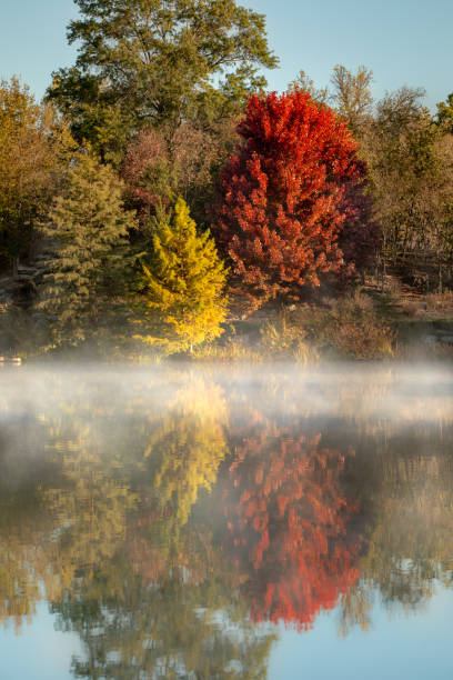 istock Autumn trees with Foggy Lake 1084744384