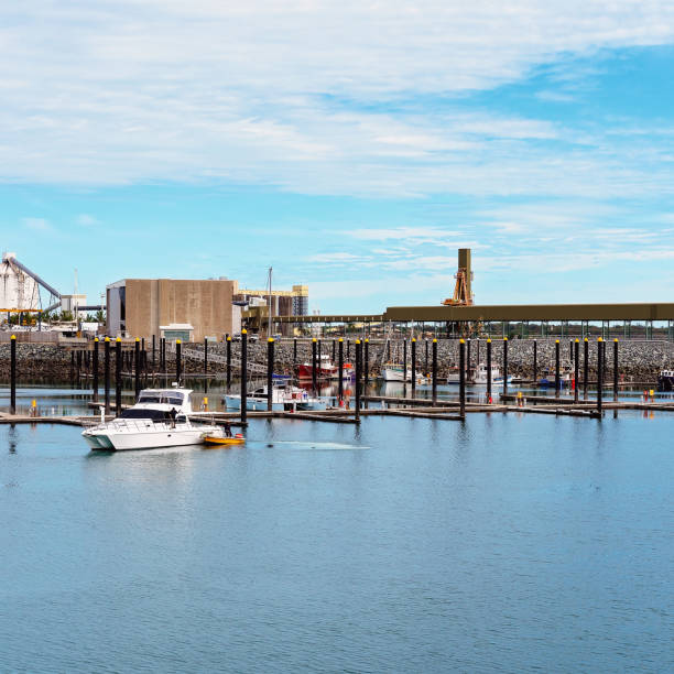 istock Boats In A Marina 1084746282