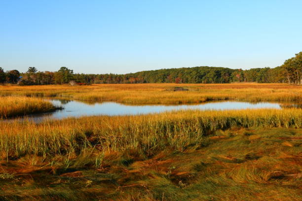 istock Autumn Colors in Maine 1084747818