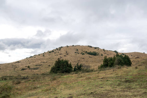 istock Yongnuni Oreum Scenery 1084749684