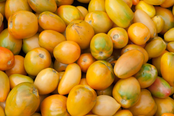 istock fresh tomatoes selling at vegetable market 1084756322