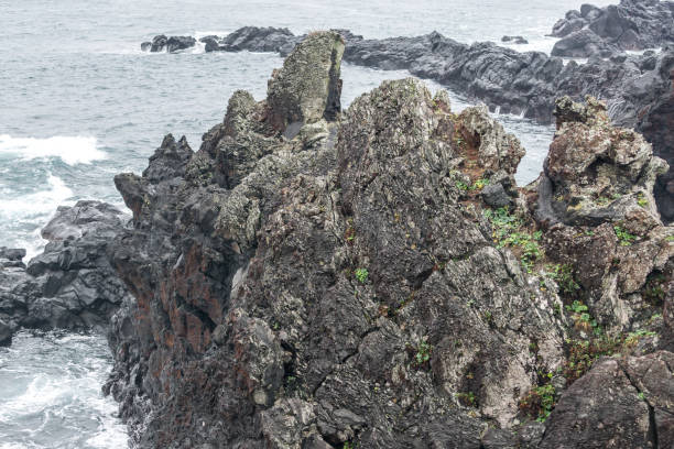 istock Seopjikoji scenic ocean view 1084768242
