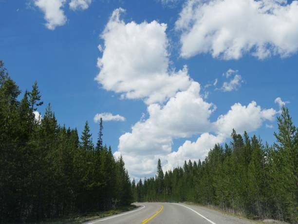 istock Driving around Yellowstone National Park 1084769090