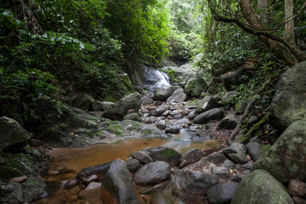 istock Chan Ta Then waterfall in Chonburi province 1084784820