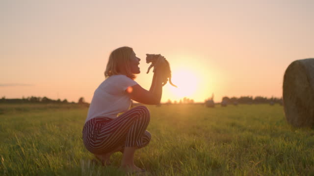 MS Woman with kitten in idyllic,rural field with hay bales at sunset