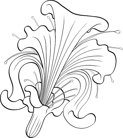 Flor de iris 6 vector gratis | ¡Descargalo ahora! Flor de iris 6 vector gratis | ¡Descargalo ahora!