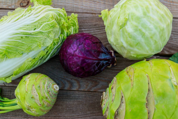 kilka rodzajów kapusty na rustykalnym drewnianym stole. widok z góry - kohlrabi purple cabbage organic zdjęcia i obrazy z banku zdjęć