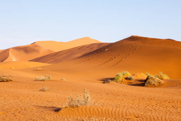 istock Dune in Namib Desert, Namibia, Africa 1084821708