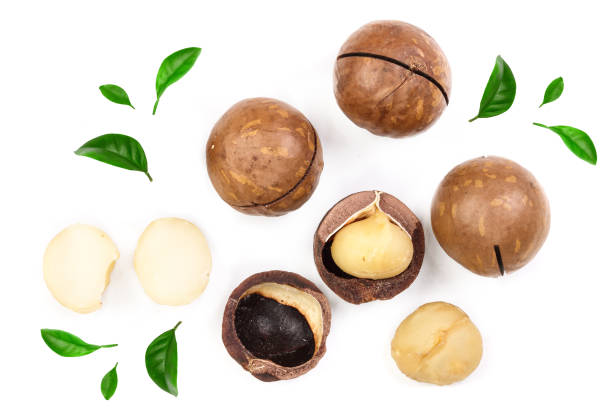 istock Shelled and unshelled macadamia nuts with leaves isolated on white background. Top view. Flat lay pattern 1084834722