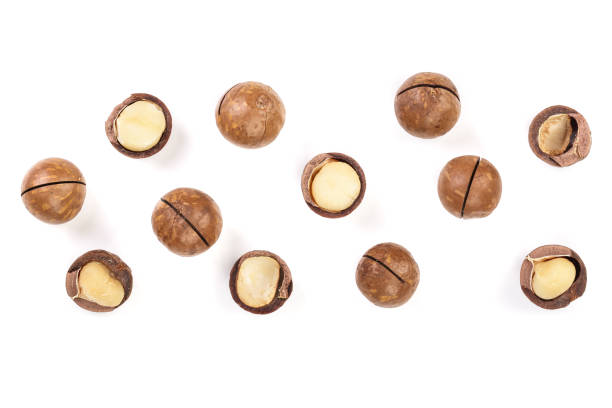 istock Shelled and unshelled macadamia nuts isolated on white background with copy space for your text. Top view. Flat lay pattern 1084834732