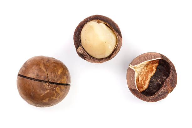 istock Shelled and unshelled macadamia nuts isolated on white background. Top view. Flat lay pattern 1084834734