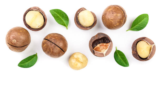 istock Shelled and unshelled macadamia nuts with leaves isolated on white background with copy space for your text. Top view. Flat lay pattern 1084834736