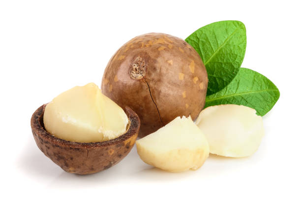 istock Shelled and unshelled macadamia nuts with leaves isolated on white background 1084834748