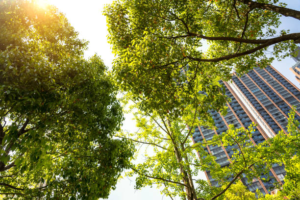 istock Apartment house in Shanghai at a sunny day 1084843348
