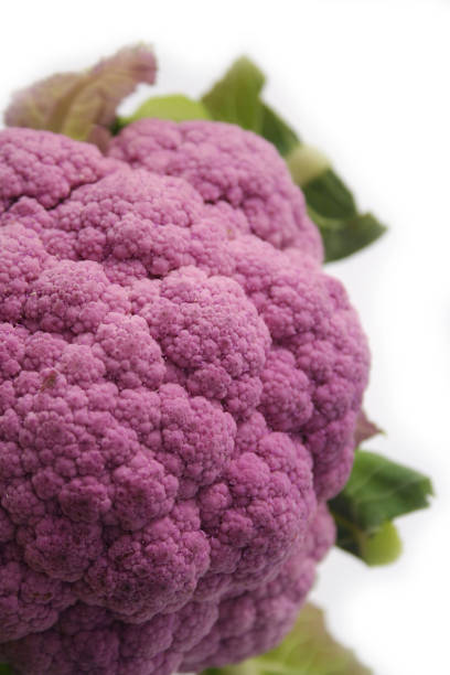 istock Fresh purple cauliflower on white with selective focus. Caulis floris 1084846074